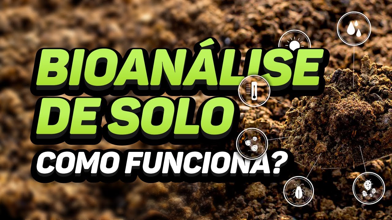 Bioanálise de solo - como funciona