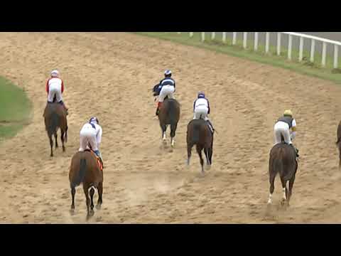 20/10/2019 – Hipodromo Melo – Carr 7 – Sr. FERNANDO ROMERO - PROGRAMA HIPISMO VERDAD