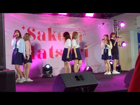 [Fancam] HatoBito - Forget Me Not @ Sakura Matsuri