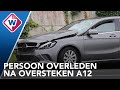 Dode bij ernstig ongeluk op A12 - OMROEP WEST