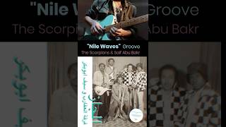 Nile Waves