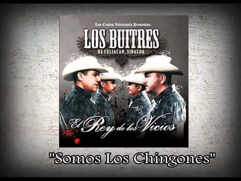 ▶ Los Buitres De Culiacan Sinaloa   Somos Los Chingones   YouTube