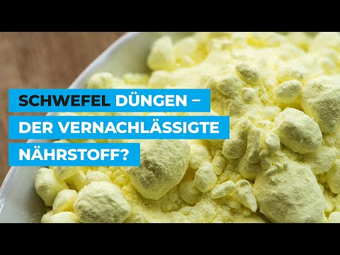 Schwefel düngen - der vernachlässigte Nährstoff?