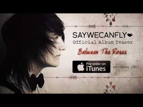 Between The Roses (Official Album Teaser)