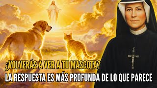 Santa Faustina revela: qué pasa con las mascotas cuando mueren – ¿Tienen alma?