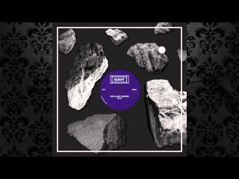 The Plant Worker - Zayin (Original Mix) [QUANT]