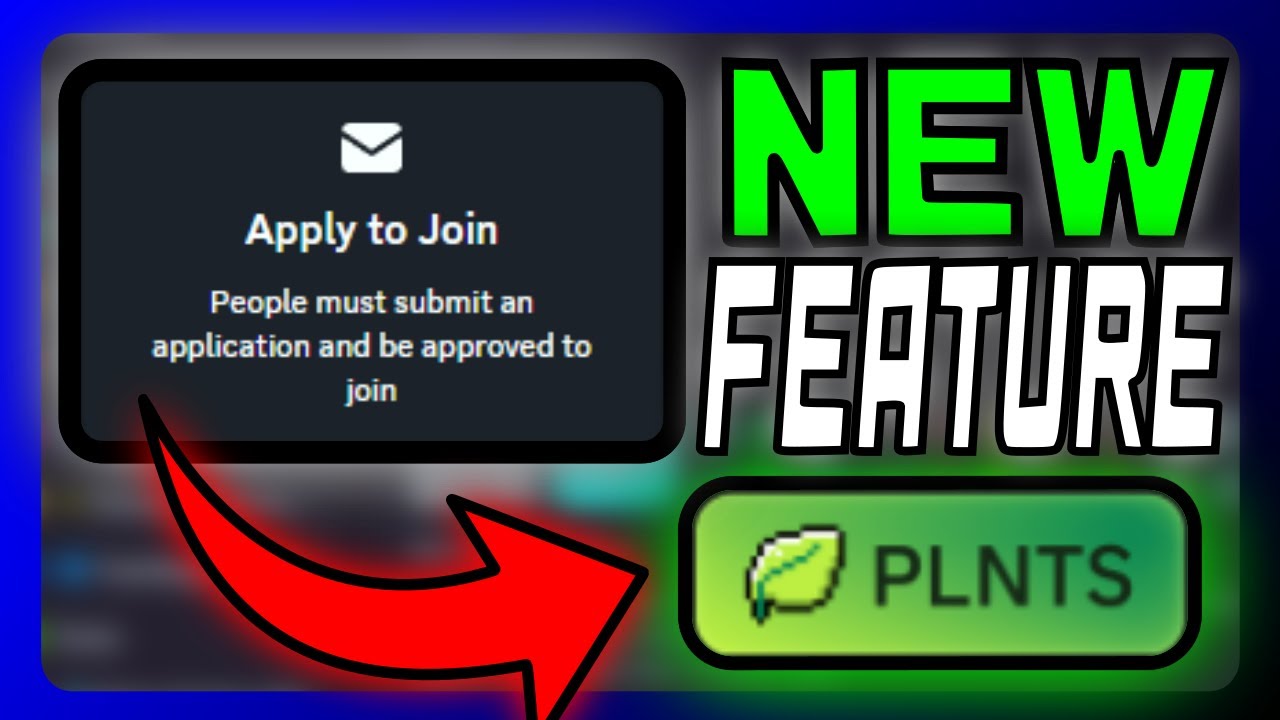 How To Use Discord's New Server Application Feature! | Discord Guilds Updates! | Future of Guilds