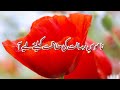 Namoos E Risalat Ki Hifazat K Liye Aa Muaviya Bin Azam Nasheed Waseem Muaviya Islamic Info