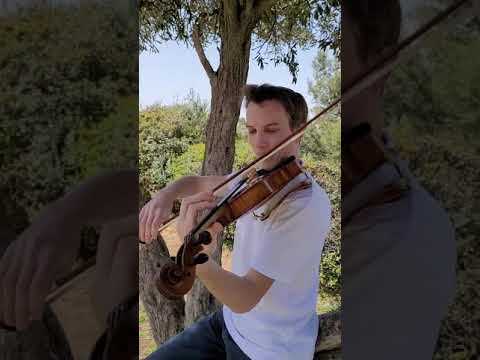 Jerusalema by Master KG - Israel Gatterer Magical Violin cover