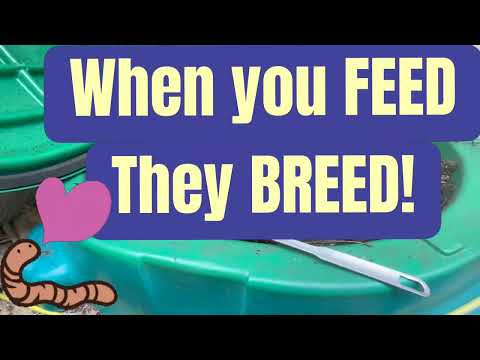 When you feed, they breed!