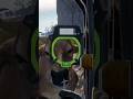 She Should Have Answered Me TheHunter Call Of The Wild