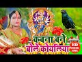 Video देवी गीत कवन बने बोले कोयलिया Sunita Lok Geet 