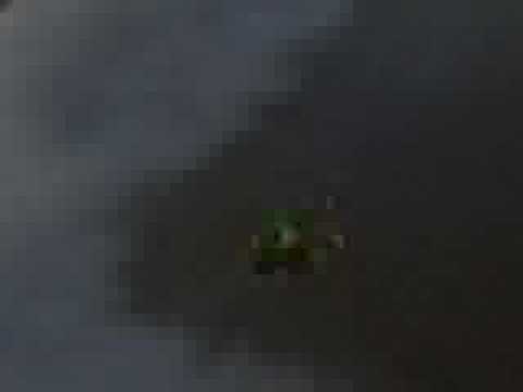 Snoopy.Mc - w00tabulous