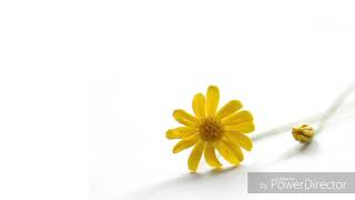 Fujita maiko - Tegami~Aisuru Anata E subtittle English and Indonesia