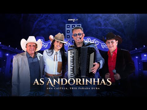 As Andourinha Voltaram - Trio Parada Dura