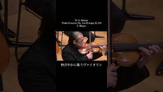 Download lagu モーツァルト：ヴァイオリン協奏曲第4番｜明るく輝くD-Dur、長原幸太の独奏へ mp3