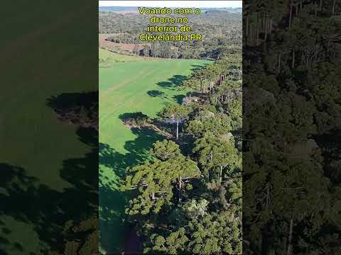 Voando com o drone no interior de Clevelândia PR.