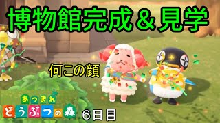 博物館４次元ポケット説「あつまれ どうぶつの森」実況【６日目】