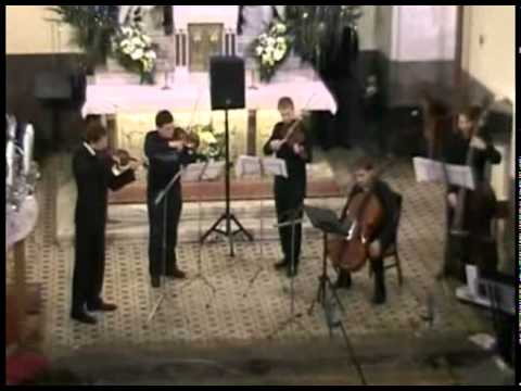 Novoroční koncert 9.1. 2011 - komorní soubor