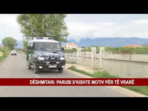 DËSHMITARI: PARUBI S’KISHTE MOTIV PËR TË VRARË