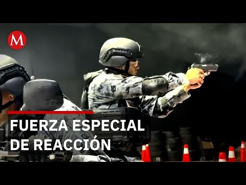 The National Guard's special reaction force explained on MILENIO TELEVISION