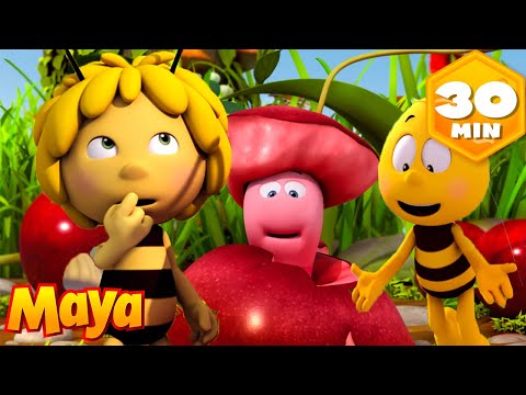 Een sappige vrucht zorgt voor een groot avontuur in het bos 🍎 🐝 Maya de Bij | Kinderseries