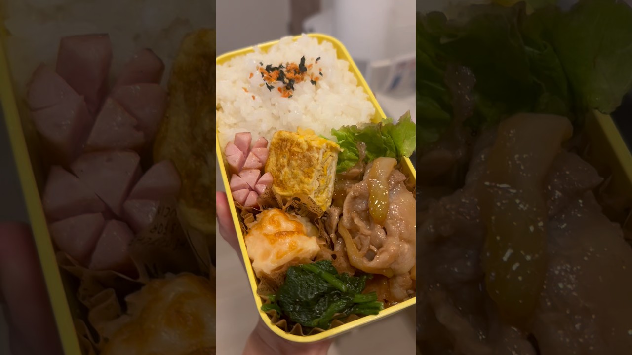 【5児のシングルマザー】お弁当のつめ方って難しいよね💦 #5児ママ #cooking