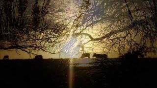 Agua, fuego, tierra y viento mercedes sosa_0002ultimo16.wmv