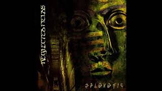Neglected Fields - Splenetic (2006)