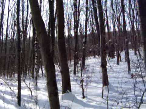 2010-02-10 Bogácsi erdő - meneküljünk