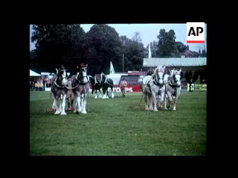 LONDON HORSE SHOW - COLOUR