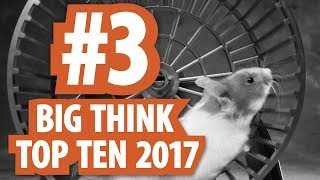 Big Think 2017 Top Ten: #3. Adam Alter on How Goal Setting is a Hamster Wheel. Set Systems Instead!