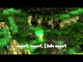 Support (Heroes of Newerth) 