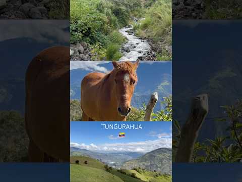 Volcán Tungurahua: Los Valles que Respiran Aventuras | Travesía en El Chontal, Baños Ecuador