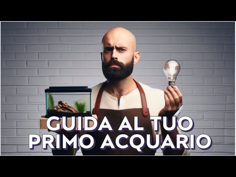 Your First Aquarium Guide: What to Buy and Why!