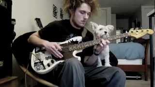 Mogwai Yes! I Am a Long Way From Home bass cover