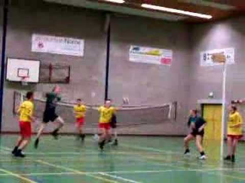 Flamingo's A1 - Drachten A1