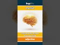 mental (adjective) - definition and usage in English
