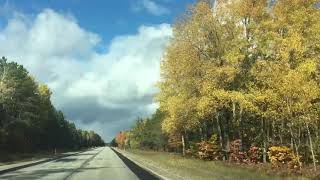 preview picture of video 'Road to Tahquamenon Falls, Michigan during Fall'