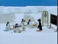 Pingu 15 Minutes 3 Episodes Pingu 34