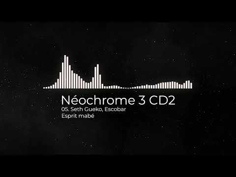 05. Seth Gueko & Escobar - Esprit mabé