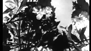 Sufjan Stevens - Impossible Soul p.1