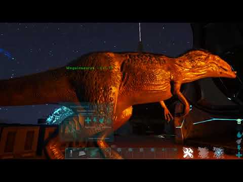 How to tame a phoenix. Works on private and official