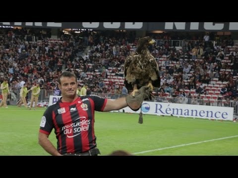 Mèfi - OGC Nice