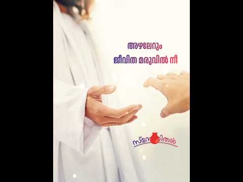 നിന്നെ വിളിച്ചവൻ ഉണ്മയുള്ളോൺ കണ്ണിൻ മണി പോലെ കാത്തിടുമേ /Ninne Vilichavan Unmayullon Kannin manipole