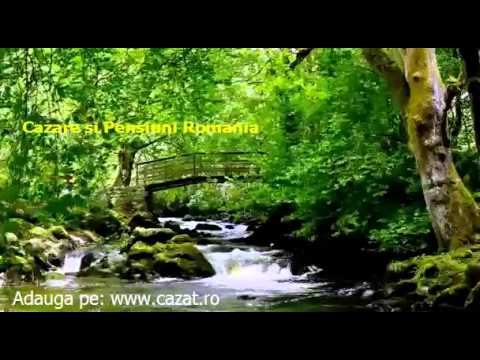 Cazare Bucsana, Gorj - Cazat.ro