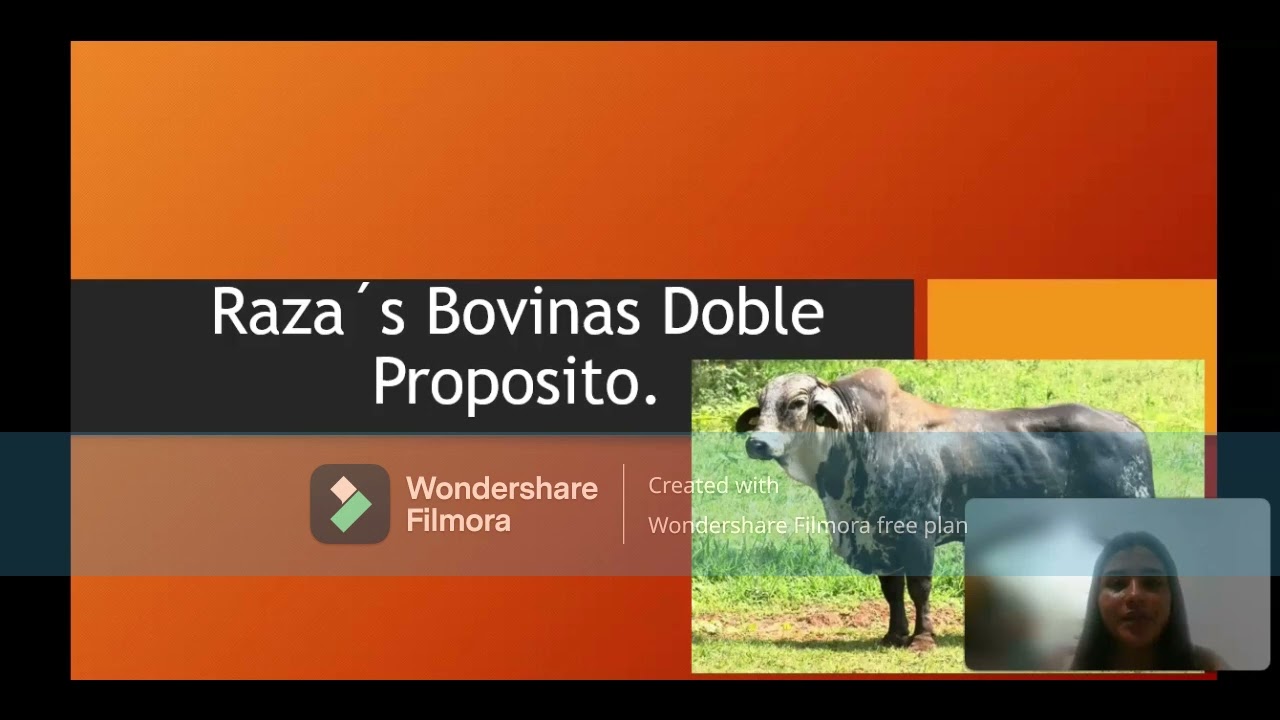 RAZAS BOVINAS