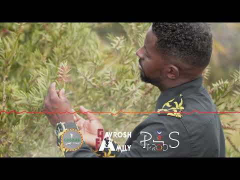 Chaldi  Mariage Adjman & Tamami