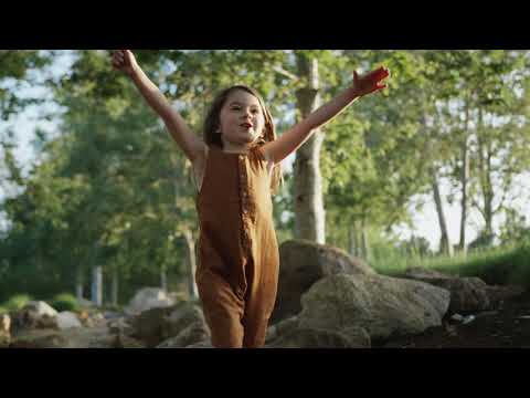 Bower & Branch Living Tree Chairs