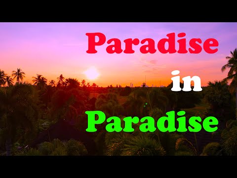 Where I live in Thailand - Tiger House - Pattaya. Pure paradise at a very affordable price! EP 33